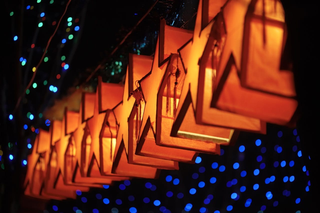 San Diego Holiday Lights Tours