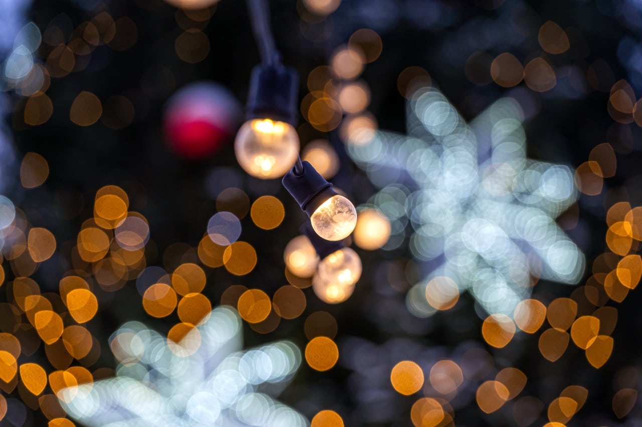 San Diego Holiday Lights Tours