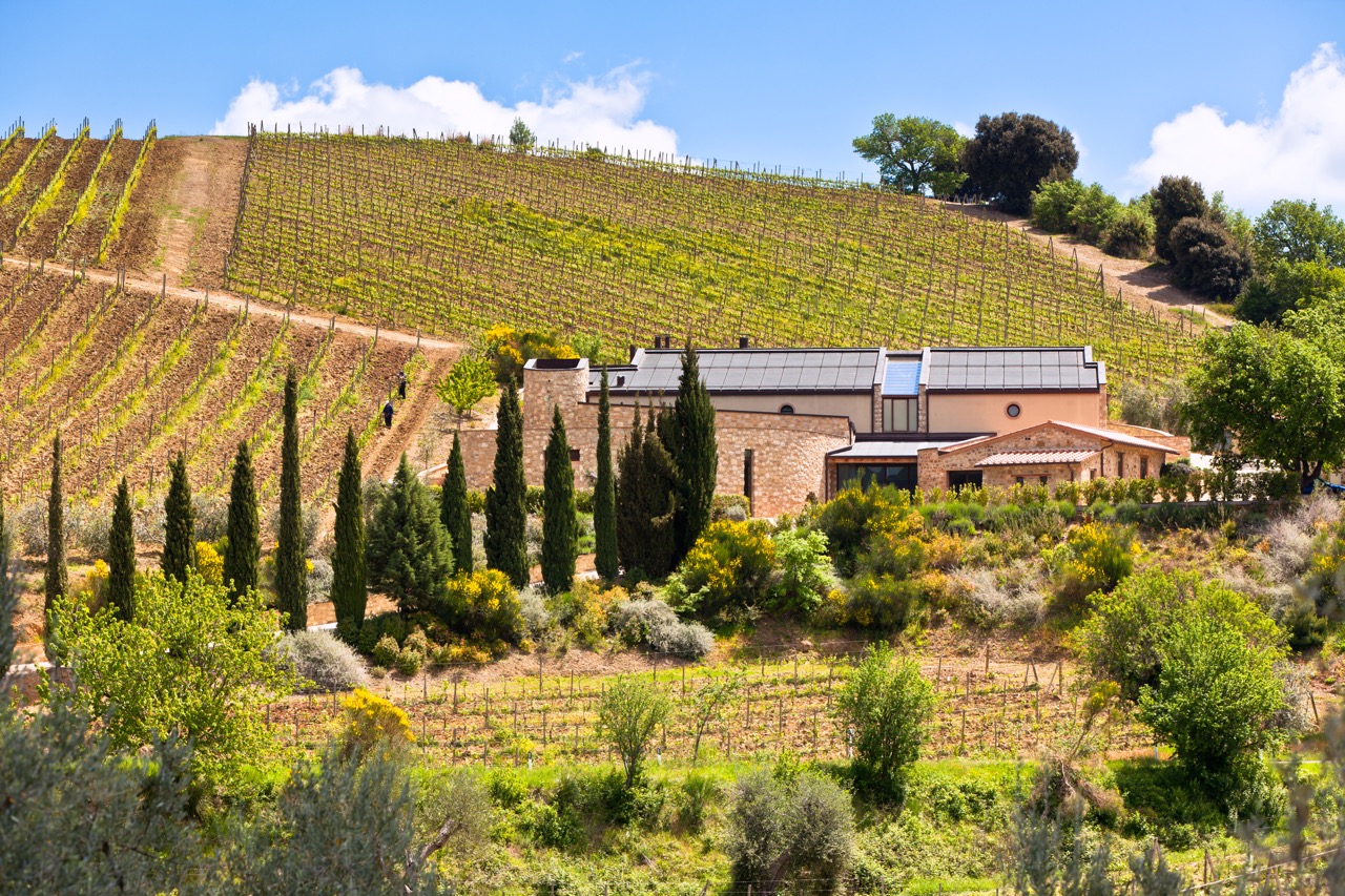 San Diego Wine Tours