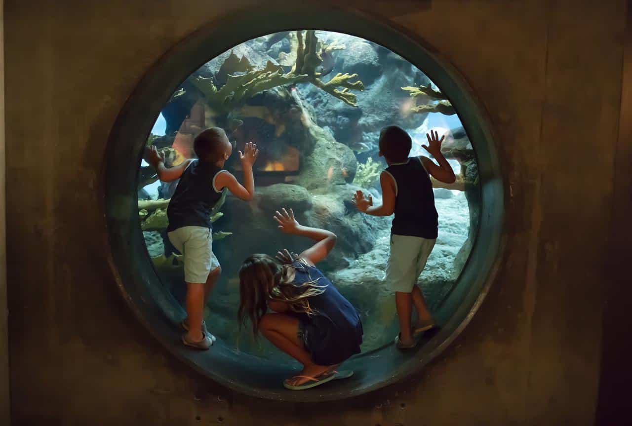 SeaWorld San Diego Car Service 