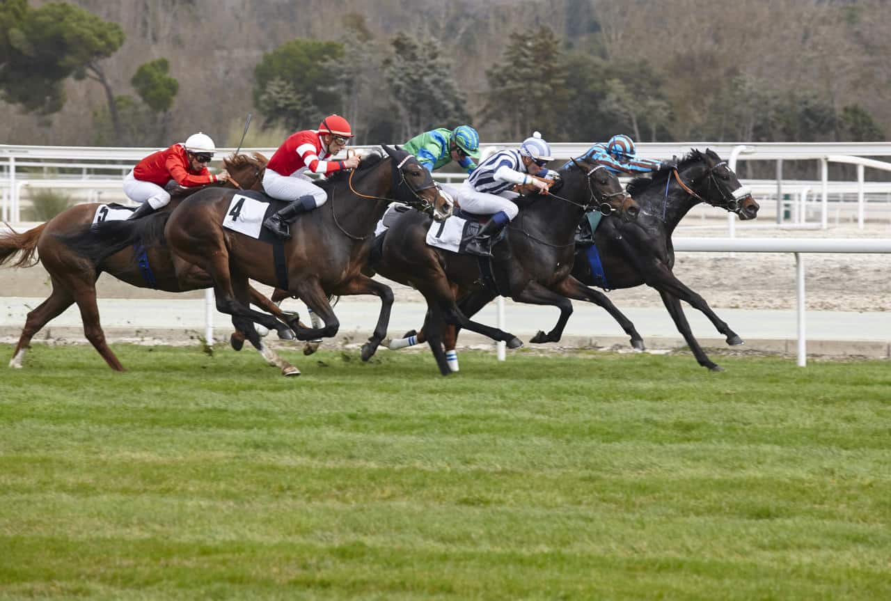 2026 Del Mar Racetrack